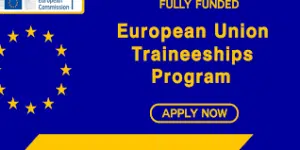 Funded traineeships for young graduates at the EU Delegation to Kenya