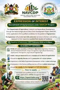 NAVCDP jobs in Kenya